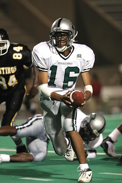 的科研成果 的科研成果